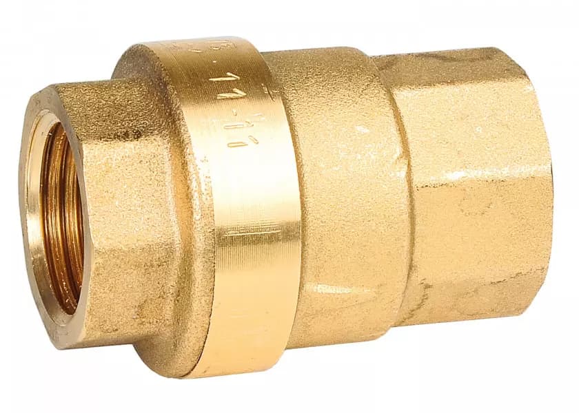 MAESTRINI Check Valve with NBR Gasket Image 1 of 3